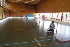 CIMG0153 _Large_