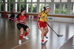Cup 2010
