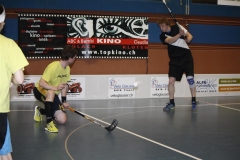 DT 2013 (100)