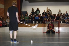 DT 2013 (102)