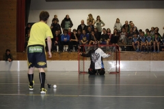 DT 2013 (104)