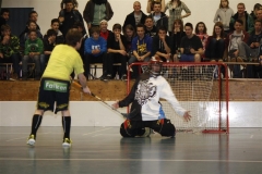 DT 2013 (105)