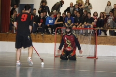 DT 2013 (106)