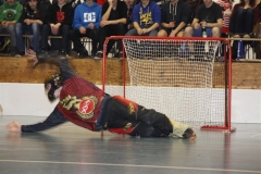 DT 2013 (107)
