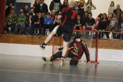DT 2013 (108)