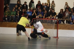 DT 2013 (109)