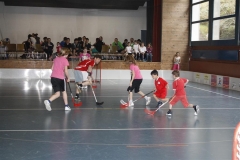DT 2013 (11)