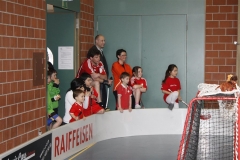 DT 2013 (12)