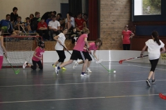 DT 2013 (68)