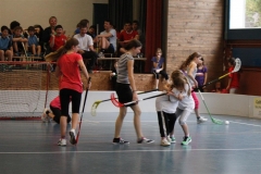 DT 2013 (71)
