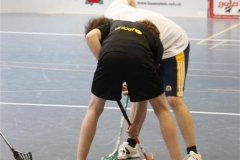 DT 2013 (77)