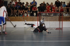 DT 2013 (81)