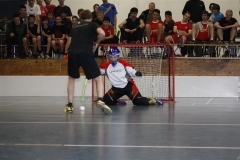 DT 2013 (82)