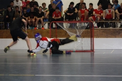 DT 2013 (83)