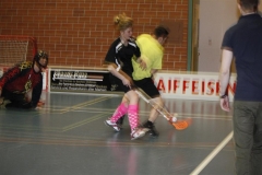 DT 2013 (87)