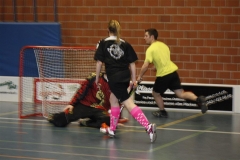 DT 2013 (88)