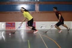 DT 2013 (95)
