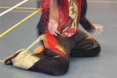 DT 2013 (98)