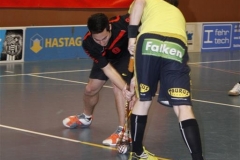 DT 2013 (99)