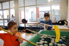 _MG_5382