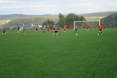 DSC00988 _Large_