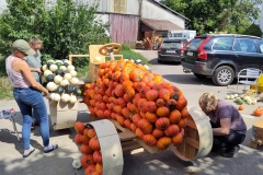 IMG-20220828-WA0005