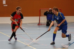 Meisterschaftsrunde 11.11.2012