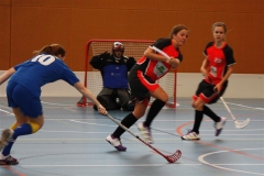 _MG_9388 (Large)
