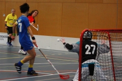 _MG_9411 (Large)