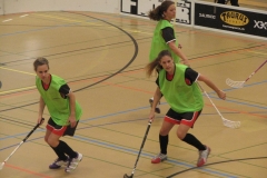 Opfikon 25_11_12 038
