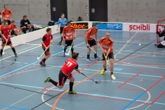 Herren 1 Meisterschaftsrunde 2014