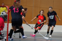 Heimrunde 11 _15_